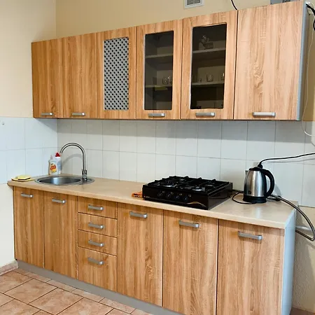 Apartments Domovik Мостова 5 Кв 38 Mukacheve Exterior photo